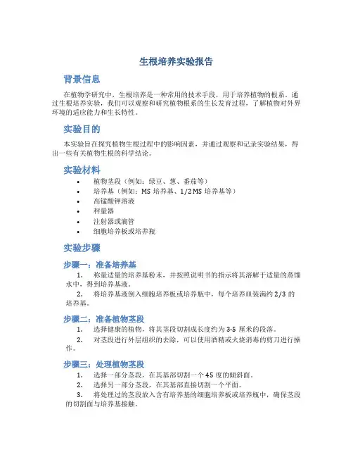 生根培养实验报告