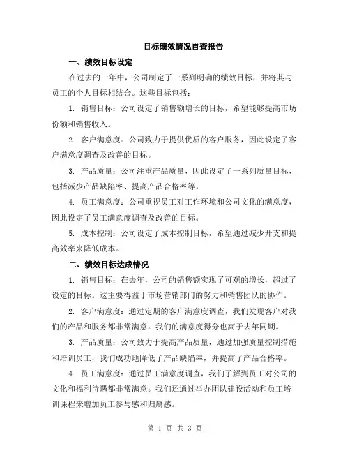 目标绩效情况自查报告