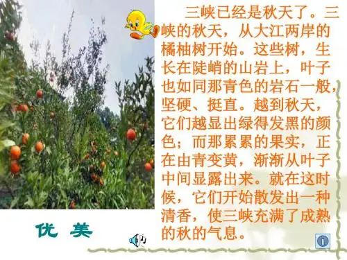 三峡2全面版
