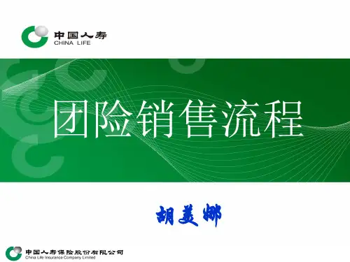 团险销售流程