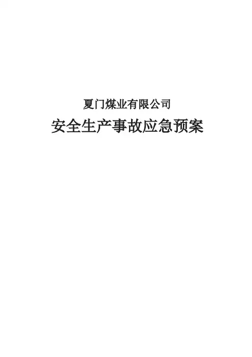 煤炭运销集团厦门煤业有限公司生产安全事故应急预案