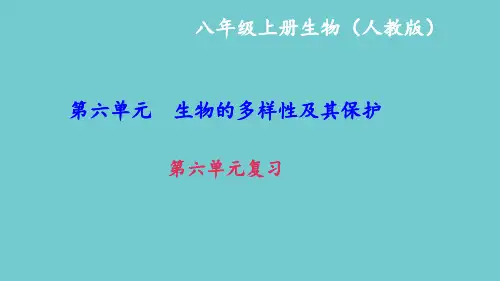 人教版八年级生物第六单元复习课件