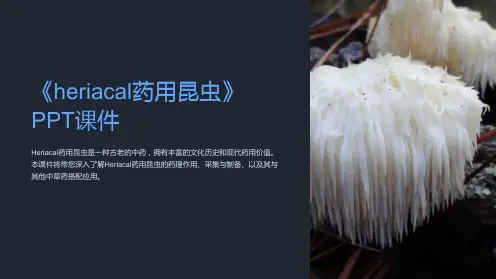《heriacal药用昆虫》课件