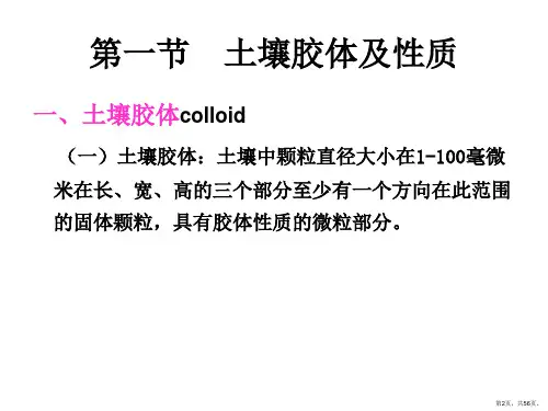 土壤化学性质土壤胶体课件