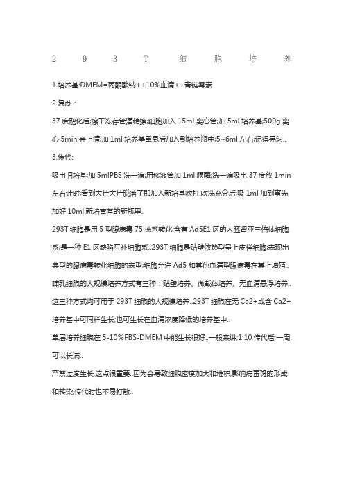 T细胞培养