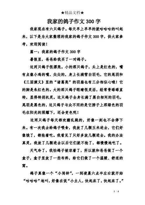 我家的鸽子作文300字