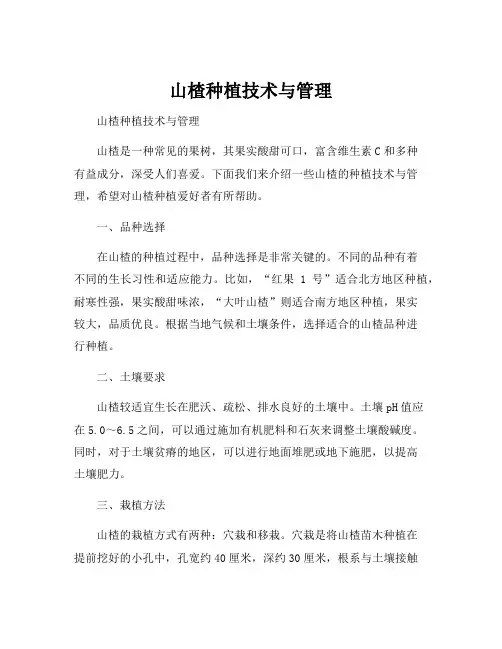 山楂种植技术与管理