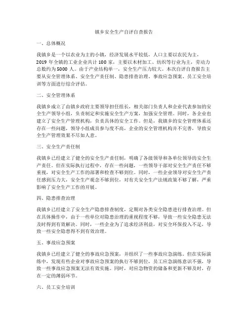 镇乡安全生产自评自查报告