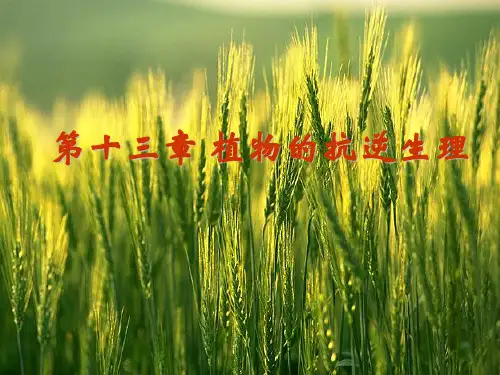 第十三章 植物的抗逆生理