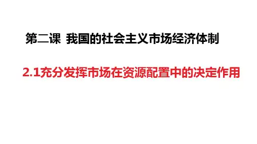 2.1充分发挥市场在资源配置中的决定性作用课件(共20张PPT)高中思想政治统编版必修2 经济与社会