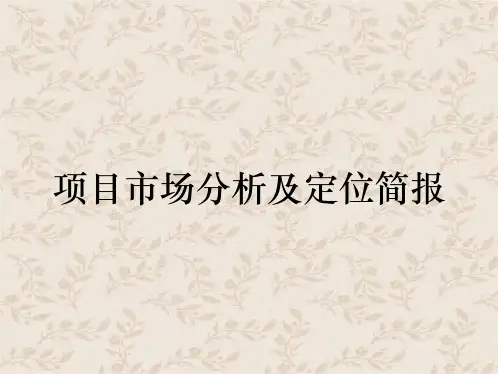 项目市场分析及定位简报