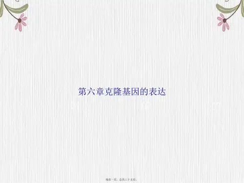 第六章克隆基因的表达讲课文档