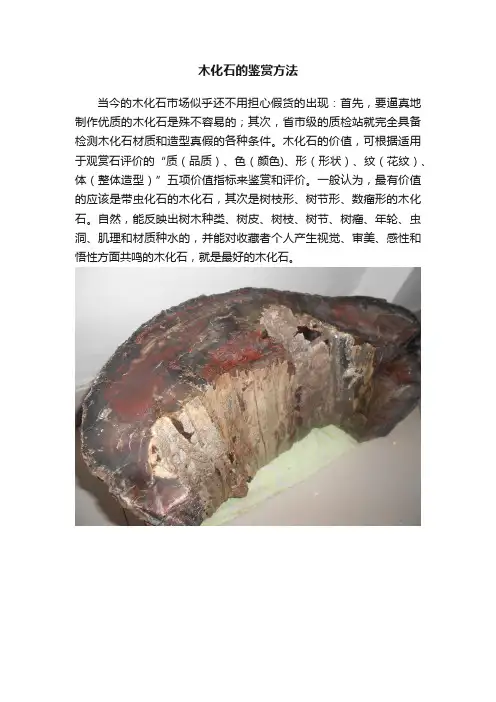 木化石的鉴赏方法