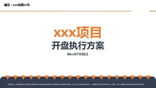 地产策划-某项目开盘执行方案