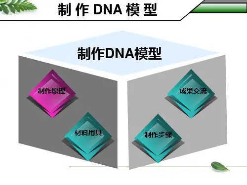 制作DNA模型资料