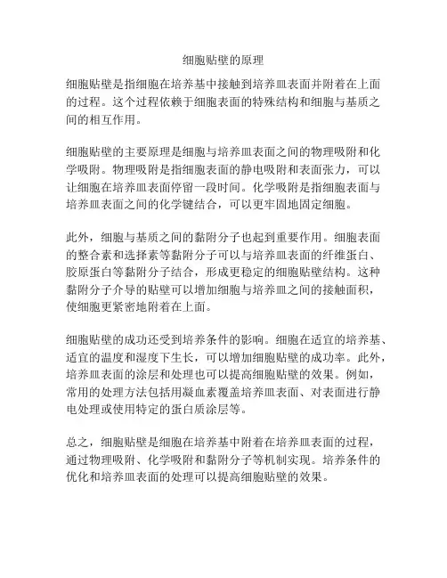 细胞贴壁的原理