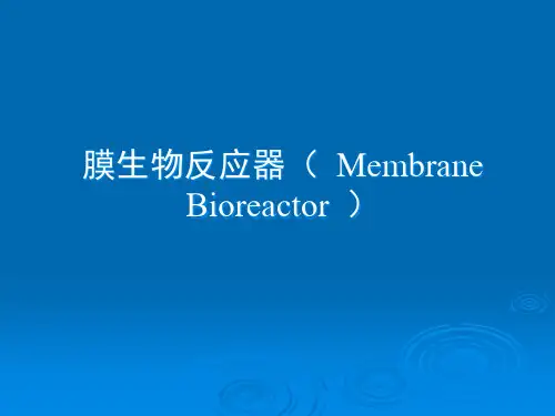 07-D-膜生物反应器市公开课获奖课件省名师示范课获奖课件
