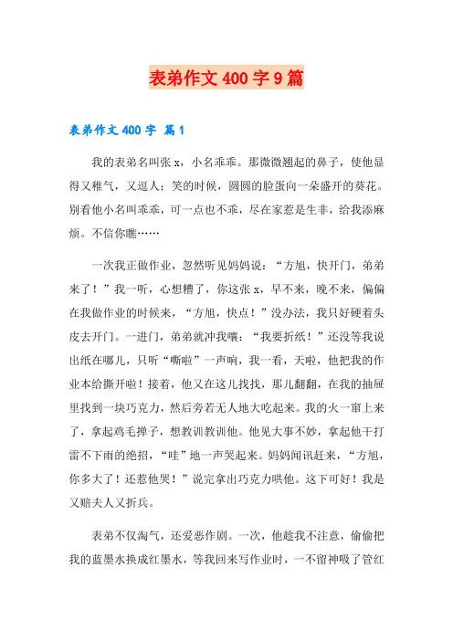 表弟作文400字9篇