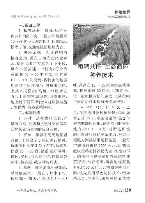 “稻鸭共作”生态循环种养技术
