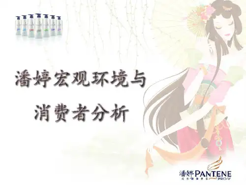 潘婷宏观环境及消费者分析