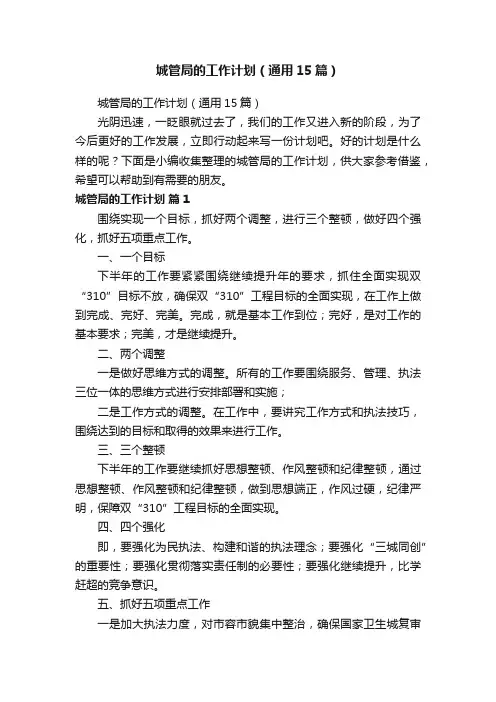 城管局的工作计划（通用15篇）
