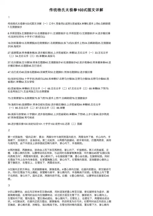 传统杨氏太极拳103式图文详解