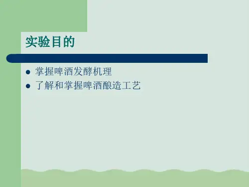 啤酒发酵实验原理ppt课件