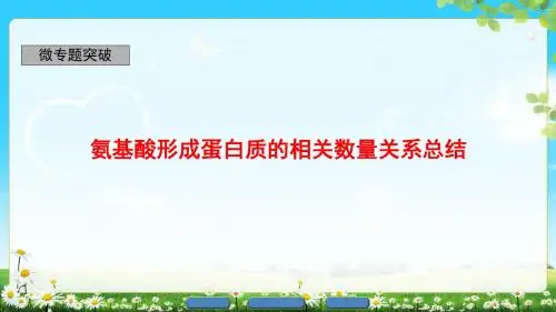 2018年浙科版生物必修1 第1章 微专题突破 氨基酸形成蛋白质的相关数量关系总结