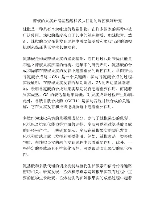 辣椒的果实必需氨基酸和多肽代谢的调控机制研究