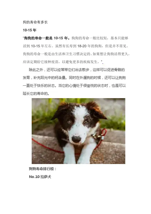 狗的寿命有多长