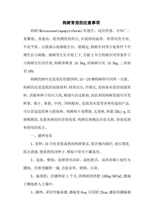 构树育苗的注意事项