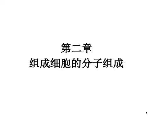 生物一轮复习必修一ppt课件