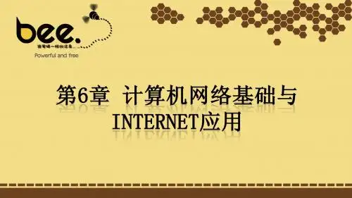 计算机网络基础与Internet应用(10.20)