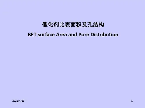 《比表面和孔径分布》PPT课件