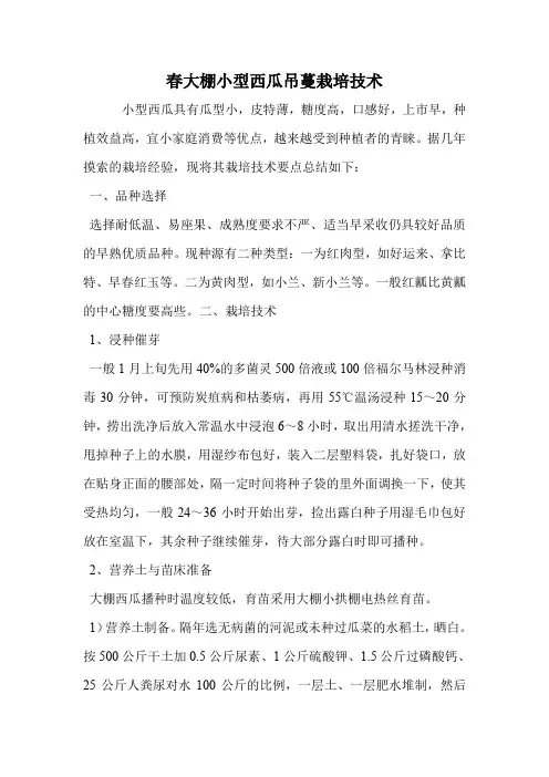 春大棚小型西瓜吊蔓栽培技术.doc