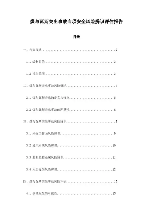 煤与瓦斯突出事故专项安全风险辨识评估报告
