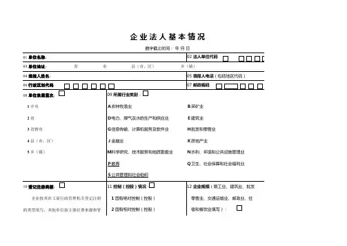 企业法人基本情况表