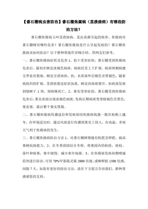 【番石榴病虫害防治】番石榴焦腐病(茎溃疡病)有哪些防治方法？