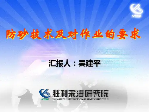 防砂技术应用