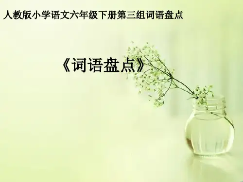人教版六年级语文下册《三组  词语盘点》示范课课件_20