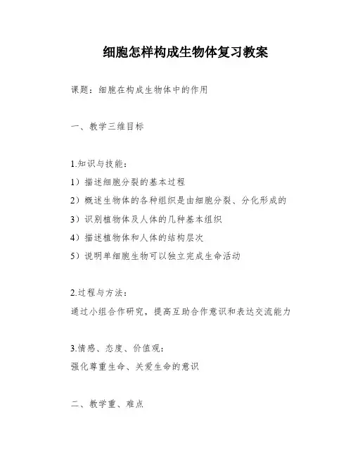 细胞怎样构成生物体复习教案