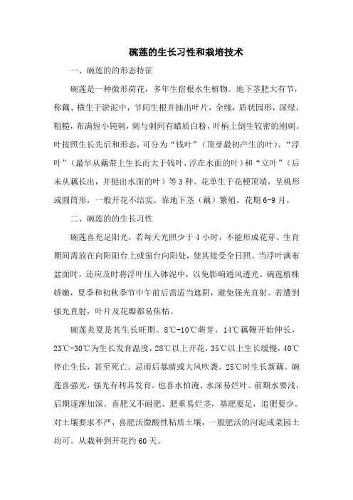 碗莲的生长习性和栽培技术