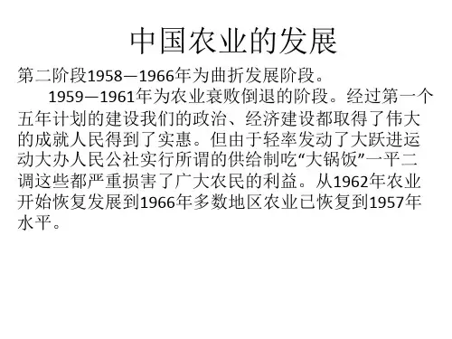 中国农业现代化发展实践