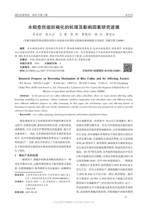 水稻愈伤组织褐化的机理及影响因素研究进展