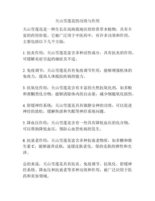 天山雪莲花的功效与作用