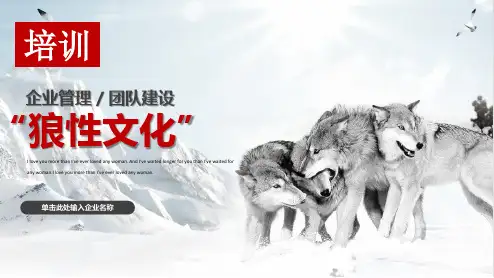 企业文化狼性精神培训PPT(2021年完美版)