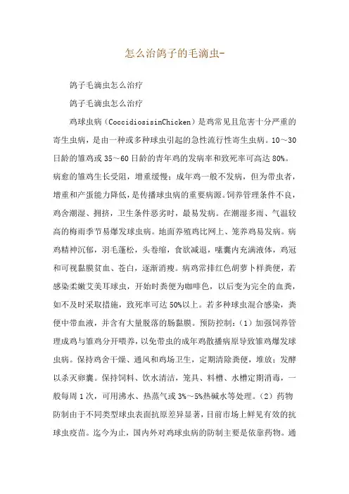 怎么治鸽子的毛滴虫--鸽子毛滴虫怎么治疗
