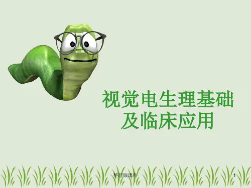 视觉电生理基础ppt课件