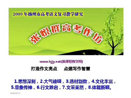 高考复习打造作文亮点, 点燃写作智慧ppt[优秀课件资料]