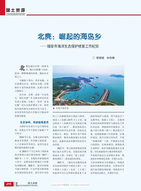 211167541_北麂：崛起的海岛乡——瑞安市海洋生态保护修复工作纪实